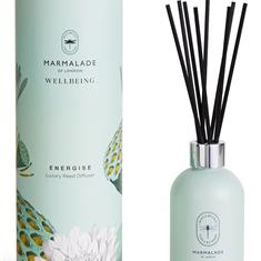 WELLBEING ENERGISE- REED DIFFUSER
