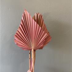 Dried Palm- Pink Small 