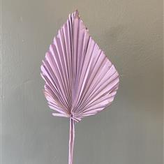 Dried Palm- Lilac Small