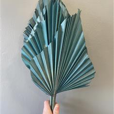Dried Palm- Teal Large