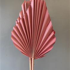 Dried Palm- Pink Large