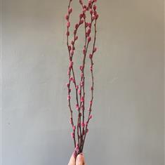 Pussy Willow Bunch- Pink 