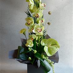  Exotic Green Orchid Box Arrangement 