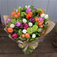 Tulips From Amsterdam