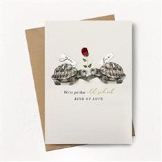 Tortoise Old School Love