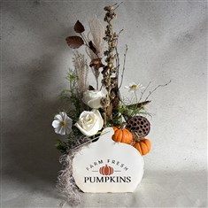 The Pumpkin Garden Arrangement 