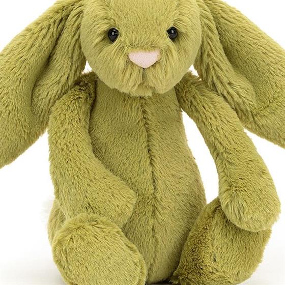 Bashful Moss Bunny Melanie's Florist Castleford